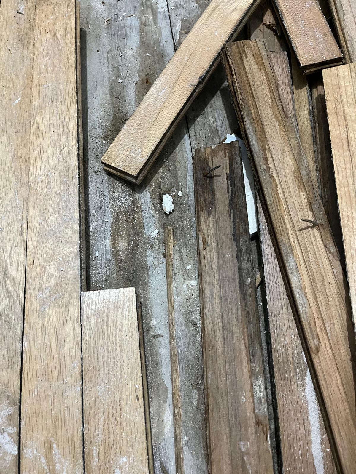Debris Removal