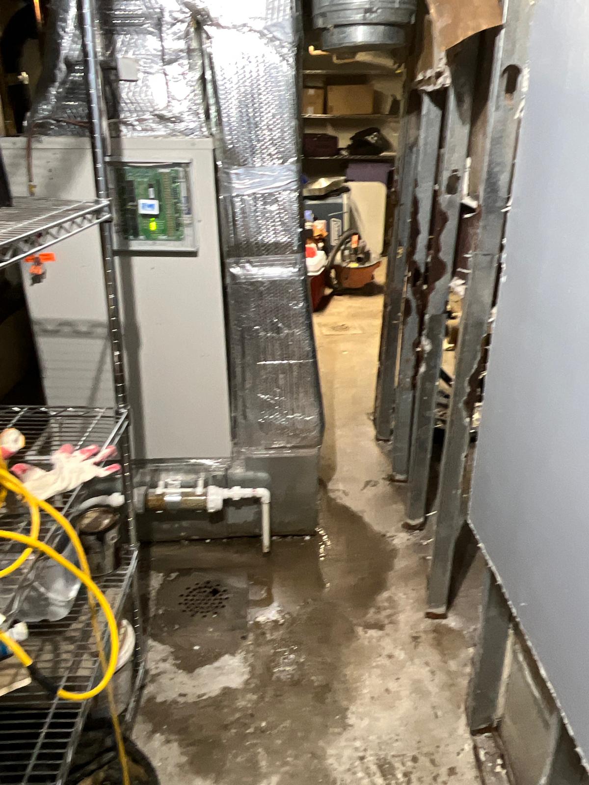 Basement Utility Shelving