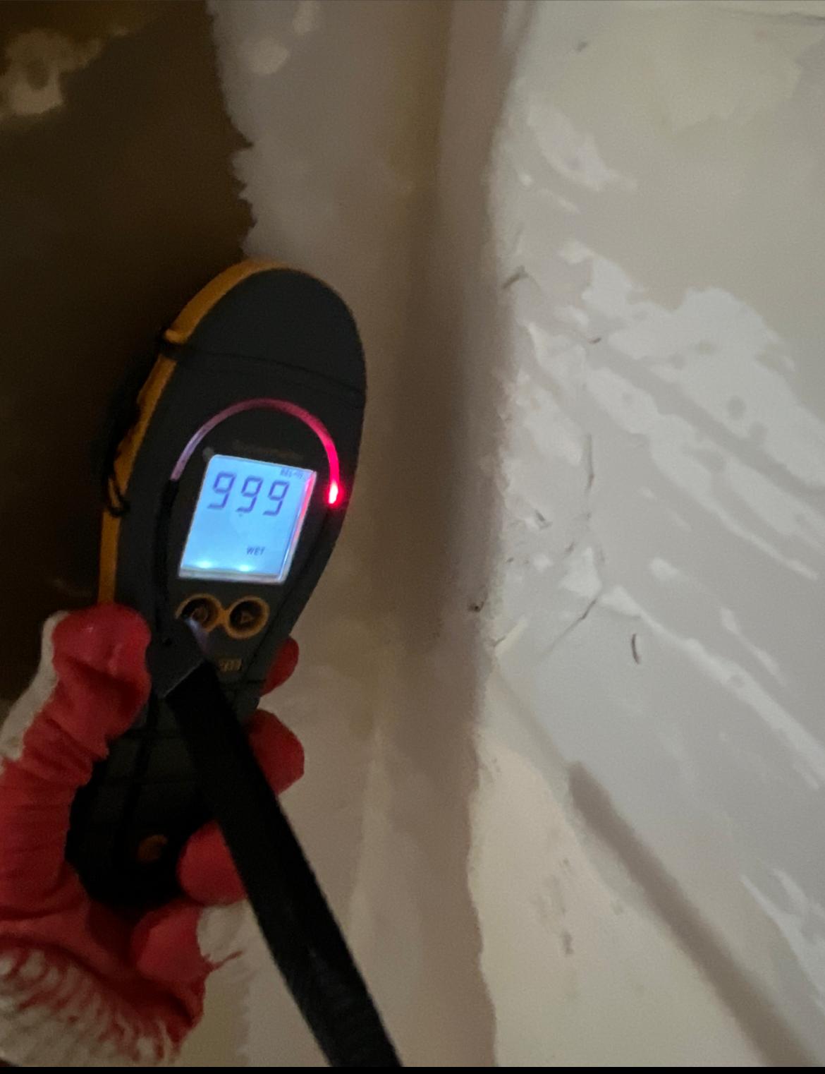 Moisture Testing