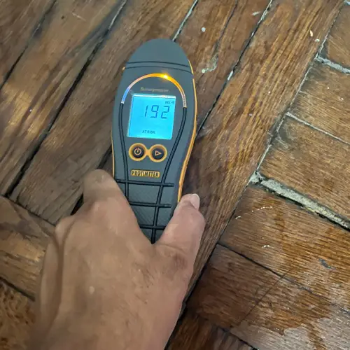 Moisture Level Testing